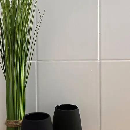 Nuwilu Two - Wohlfuehlapartment Im Herzen Erfurts - Magenta Tv- Netflix - Disney Extérieur photo